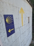 CAMINO16