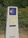 CAMINO17