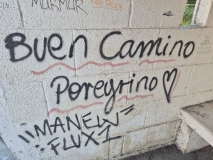 CAMINO3
