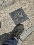 CAMINO4