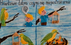 CEF KONKURSY26