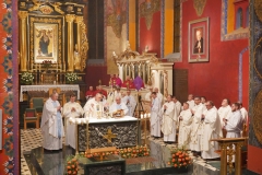 SYNOD IN KATEDRA101