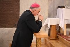 FRANCISZEK 8001
