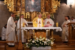 FRANCISZEK 80016