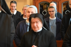 KONSEK SYNOD8
