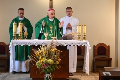 KONSEK SYNOD9