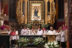 NIESZPORY KAPŁAŃSKIE25
