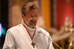 NIESZPORY4 KATEDRA19 Duży