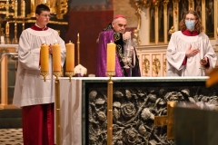 NIESZPORY4 KATEDRA21 Duży