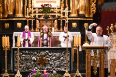 NIESZPORY4 KATEDRA8 Duży