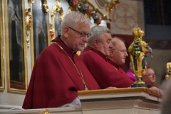 ODPUST DIECEZJALNY49