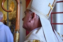 SAMSIECZNO10