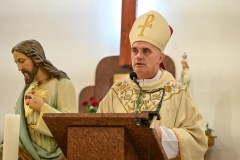 SAMSIECZNO29