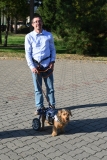 ZWIERZAKI38