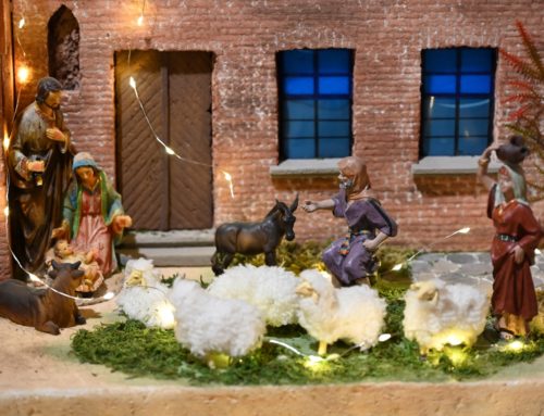 Wystawa szopek Bractwa Toruńskich Belenistów
