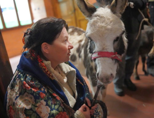 „Żywy Żłóbek” w Bazylice Królowej Męczenników