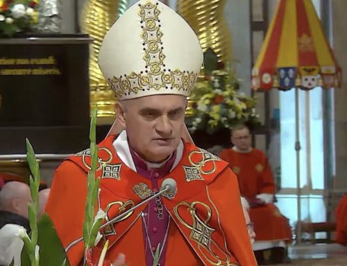 Św. Wojciech uczy odwagi, jedności i wiary – bp Włodarczyk w Gnieźnie o patronie, który wciąż pyta o Polskę