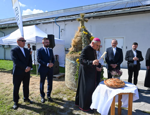 „Bez szacunku do ojcowizny nie ma Ojczyzny” – dożynki Grupy Fundacji Potulickiej