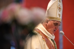 KATEDRA 11 LISTOPADA31