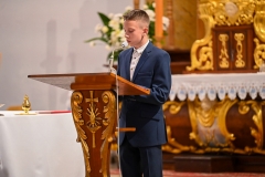 OBRAZ UGORY4