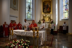 MJA_7858
