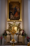 MJA_8066
