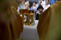 MJA_6663