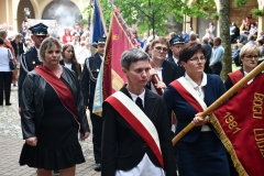 MJA_6699