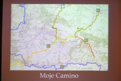 CAMINO DP14