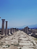 eb95b277-2c12-459a-b89c-49f192607618