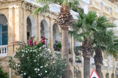 MALTA7
