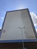 MURAL2.png