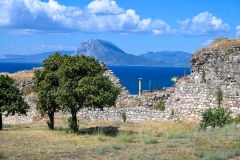 PATRAS32