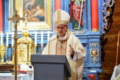 ŚLESIN17