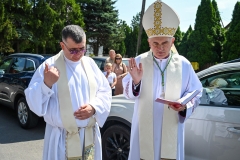 ŚLESIN45