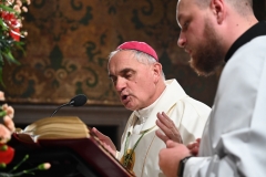 XV JASNA GÓRA87
