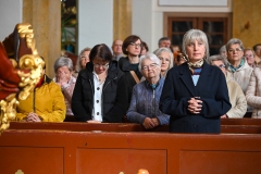 ŻYWYR15