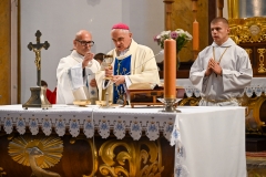 ŻYWYR16