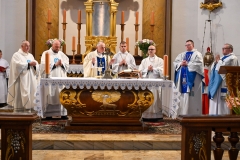 ŻYWYR20