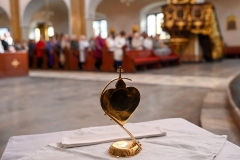 ŻYWYR23