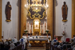 ŻYWYR29