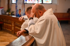 ŻYWYR31
